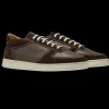 CQP Sneakers | Chocolate Brown Suede Leather Cingo Sneakers